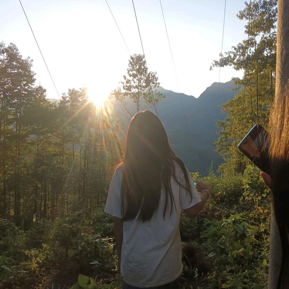 陈陈