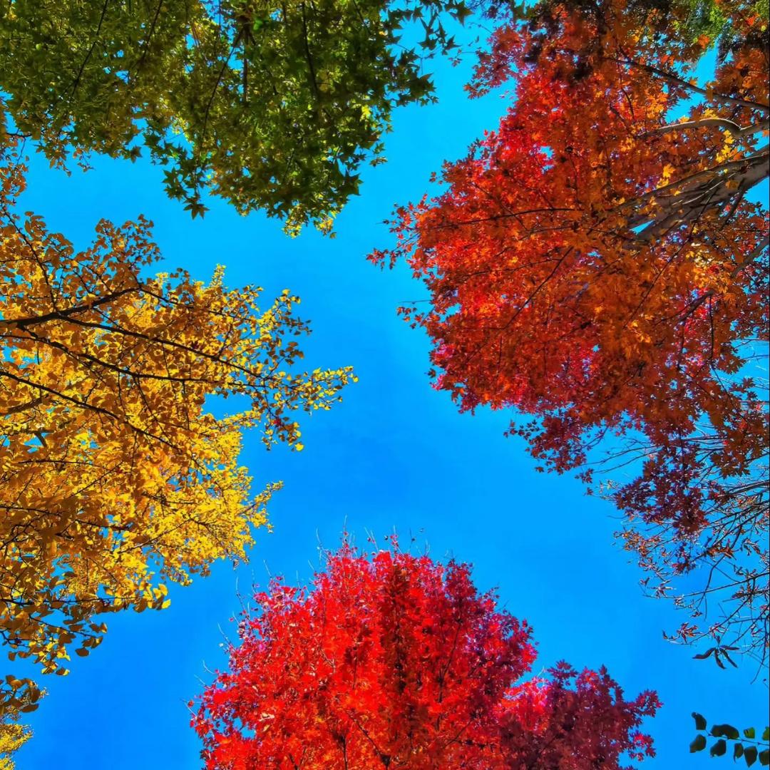 万驰箱包工厂店