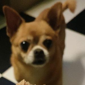 大白世界波生活号