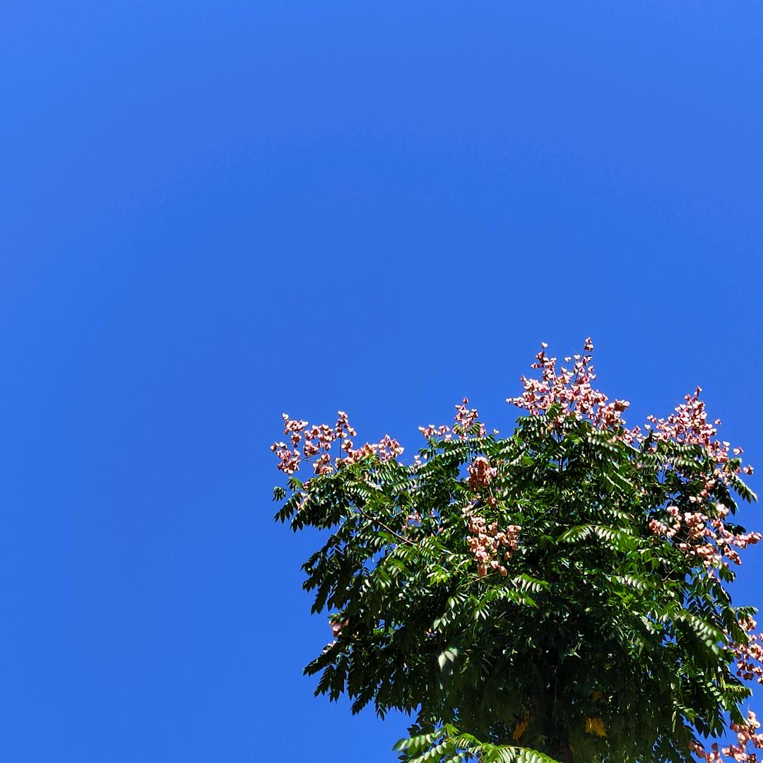 哥不帅 ，但很坏