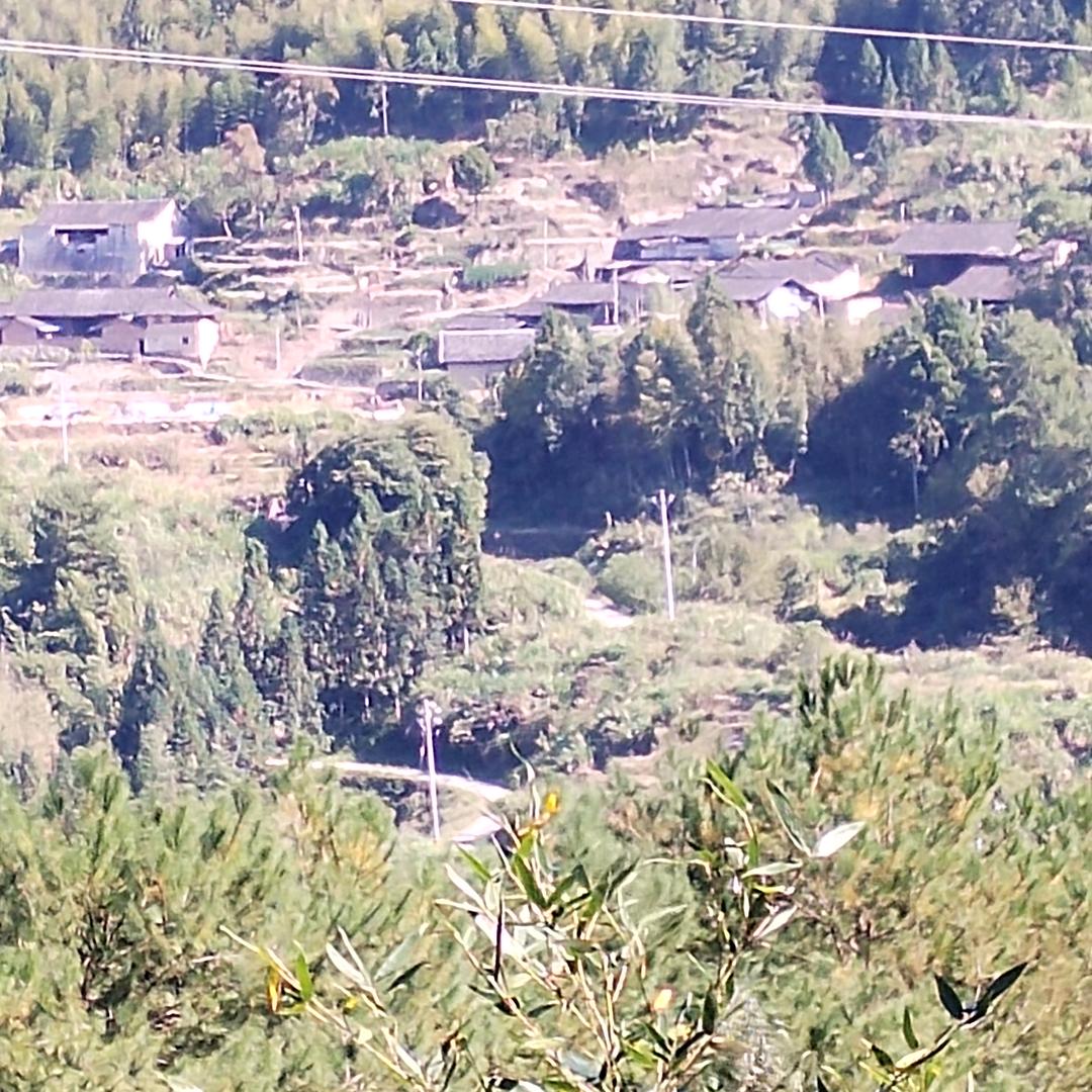 驻马店远哥
