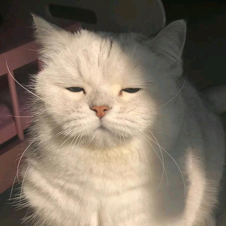 XIA.