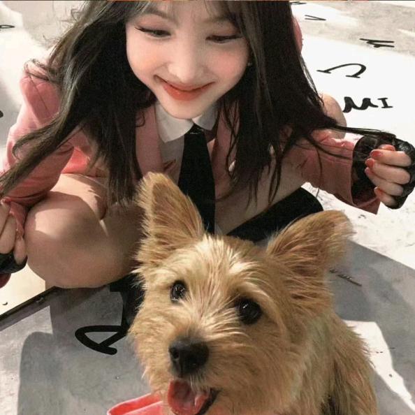 红烧兔头