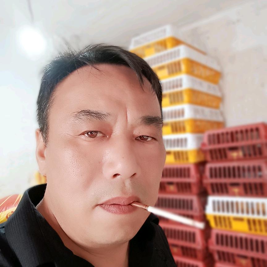 战狼（松柏鸡场）