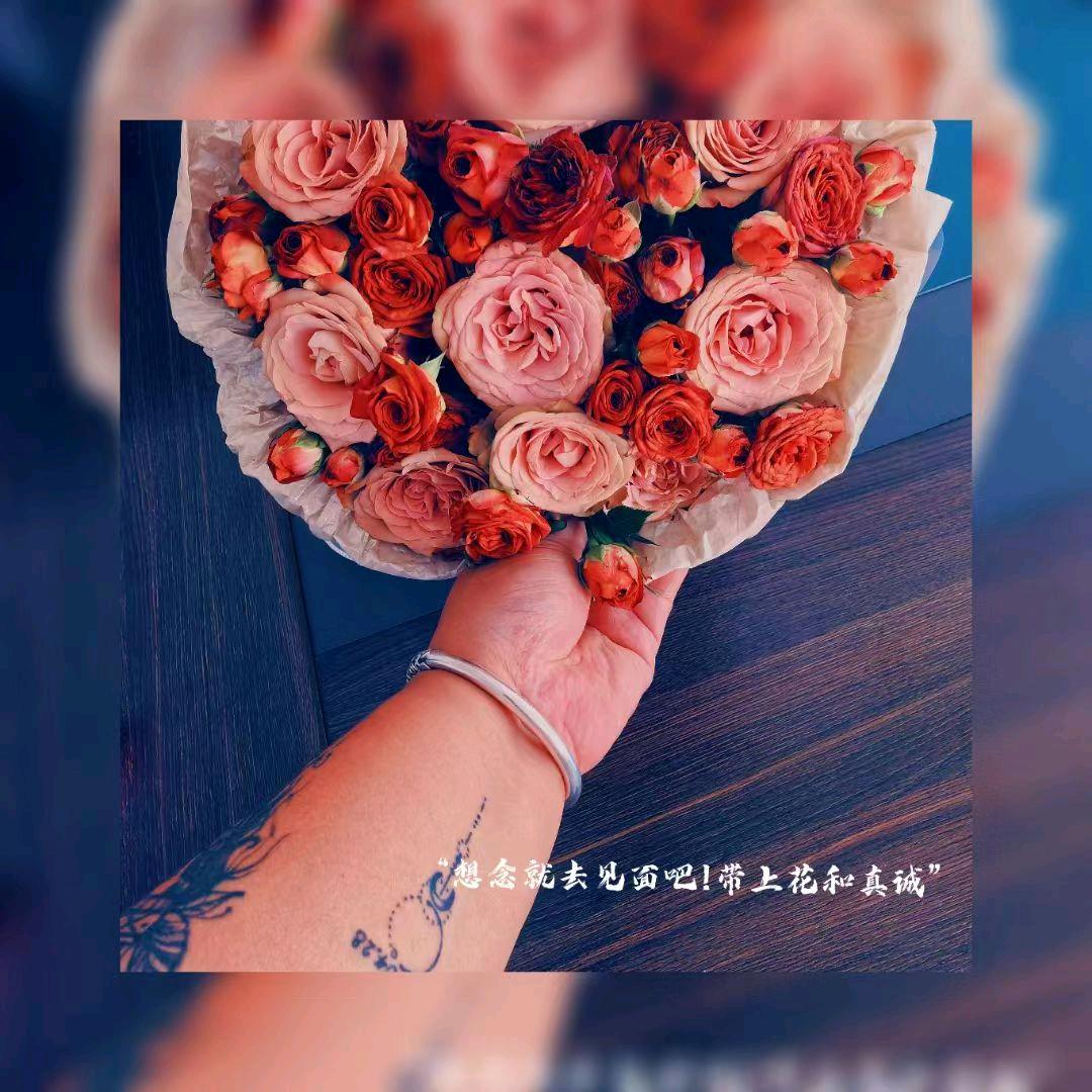 💄💋🌸韩胖子的后花园🌸💋💄
