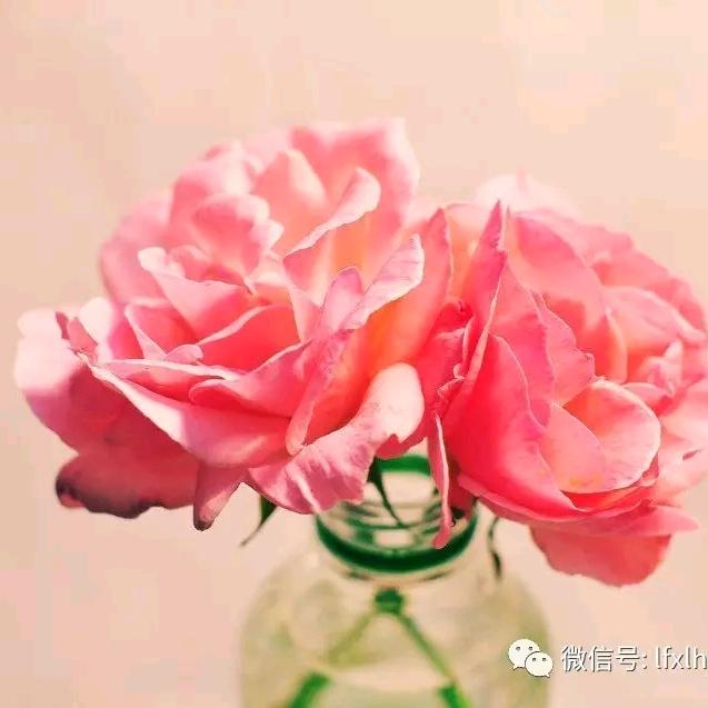 玥如甄选源头工厂