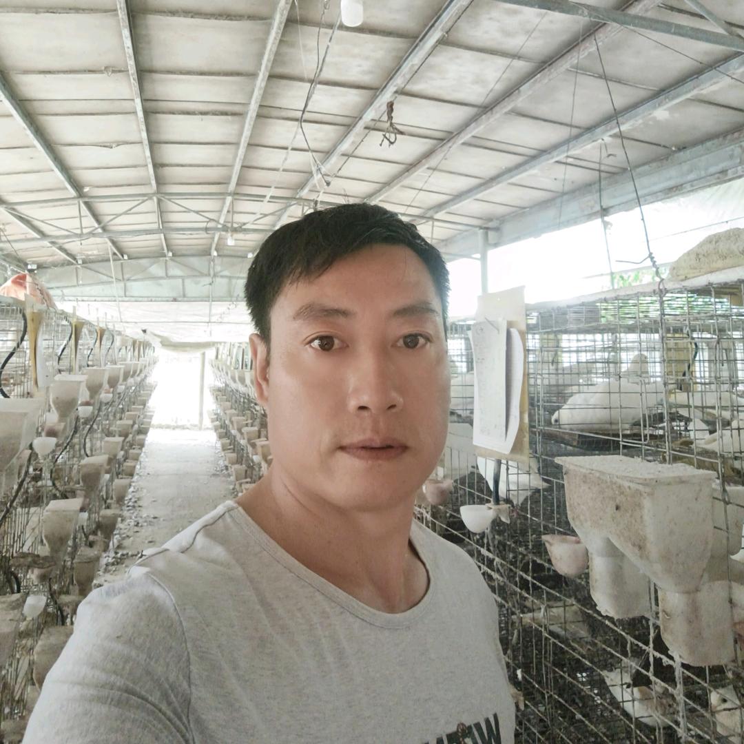 苦与乐