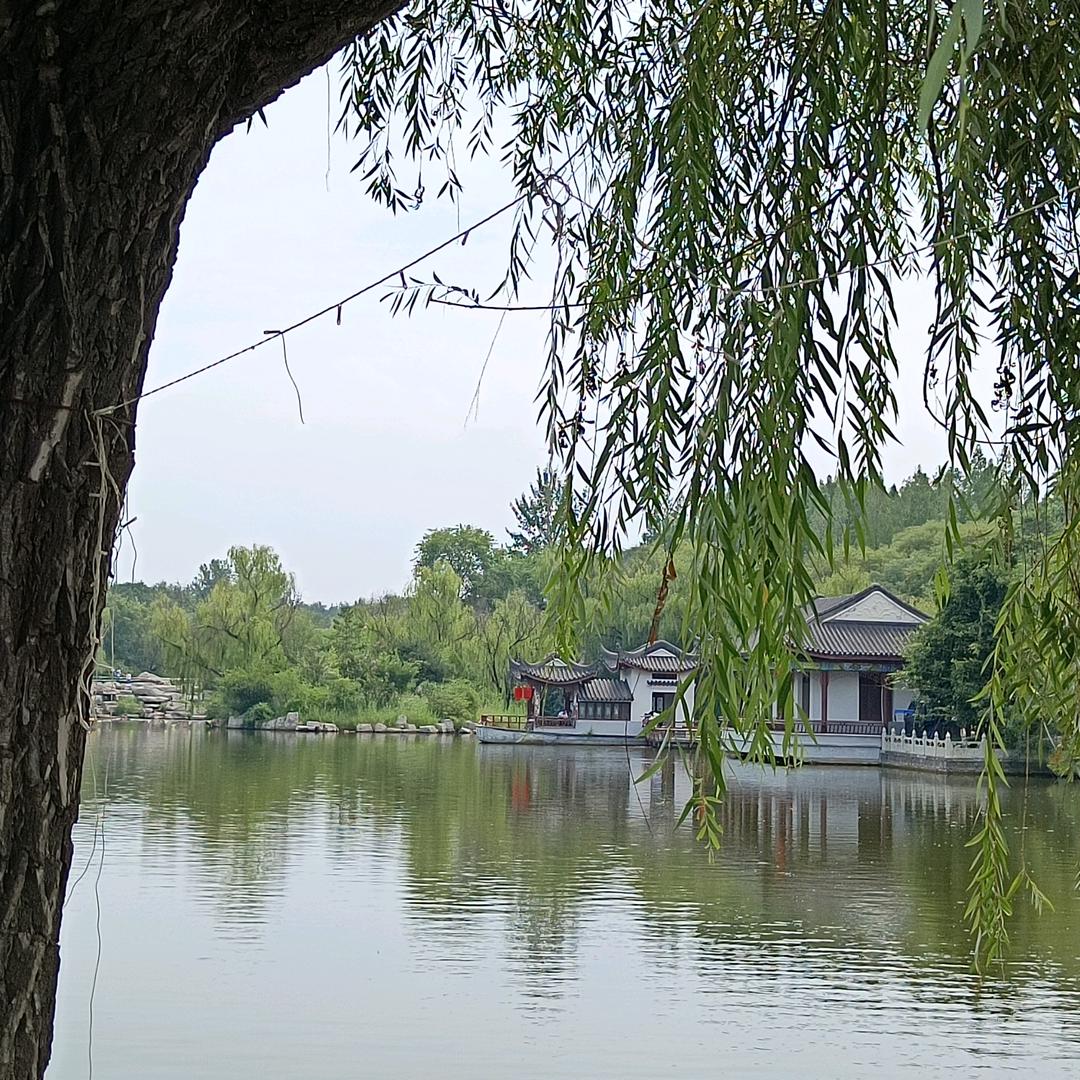@奶茶～🌱