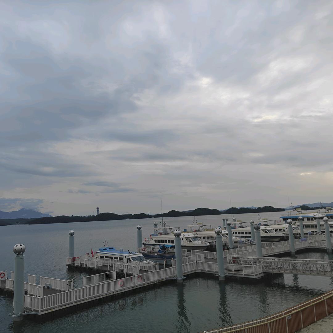 大王叫我来巡山