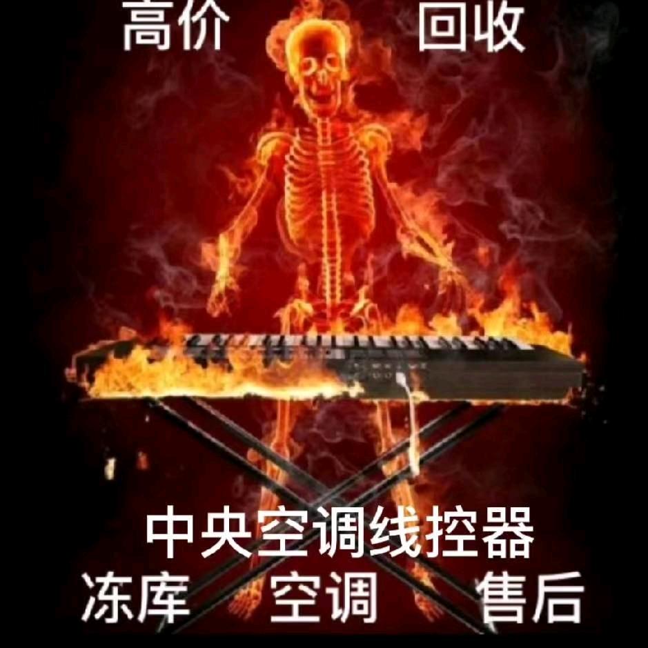 网络乞丐