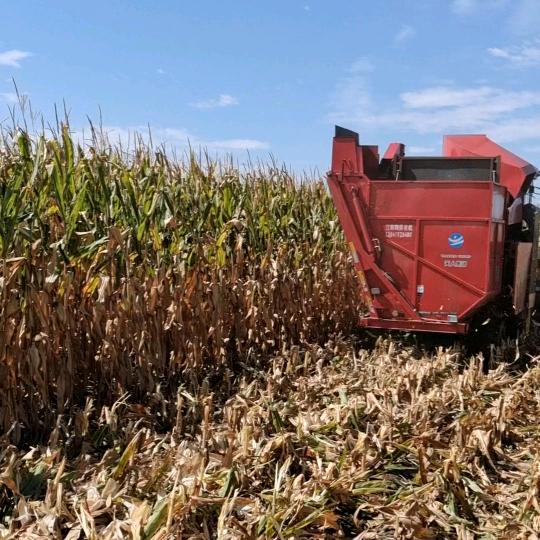 绿领新农人-田间地头