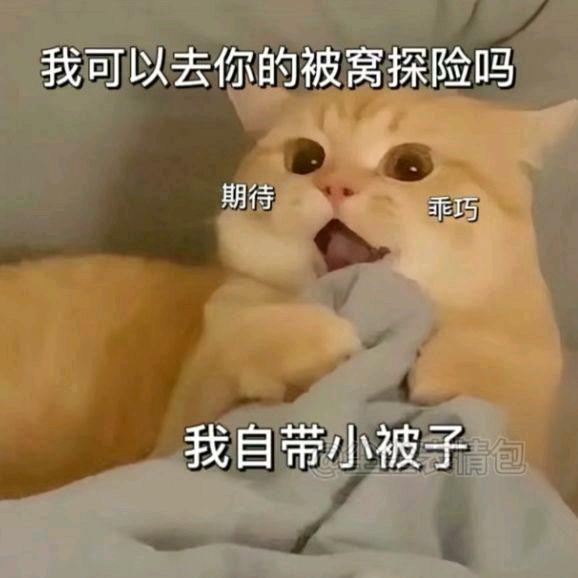 🌈油腻的小肥仔