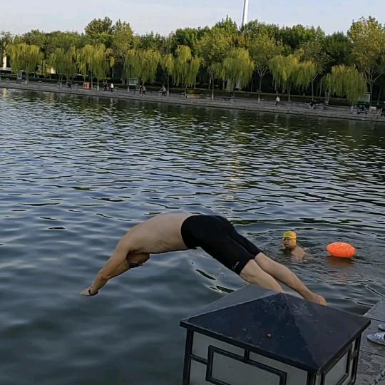 爱游泳的懂酒人