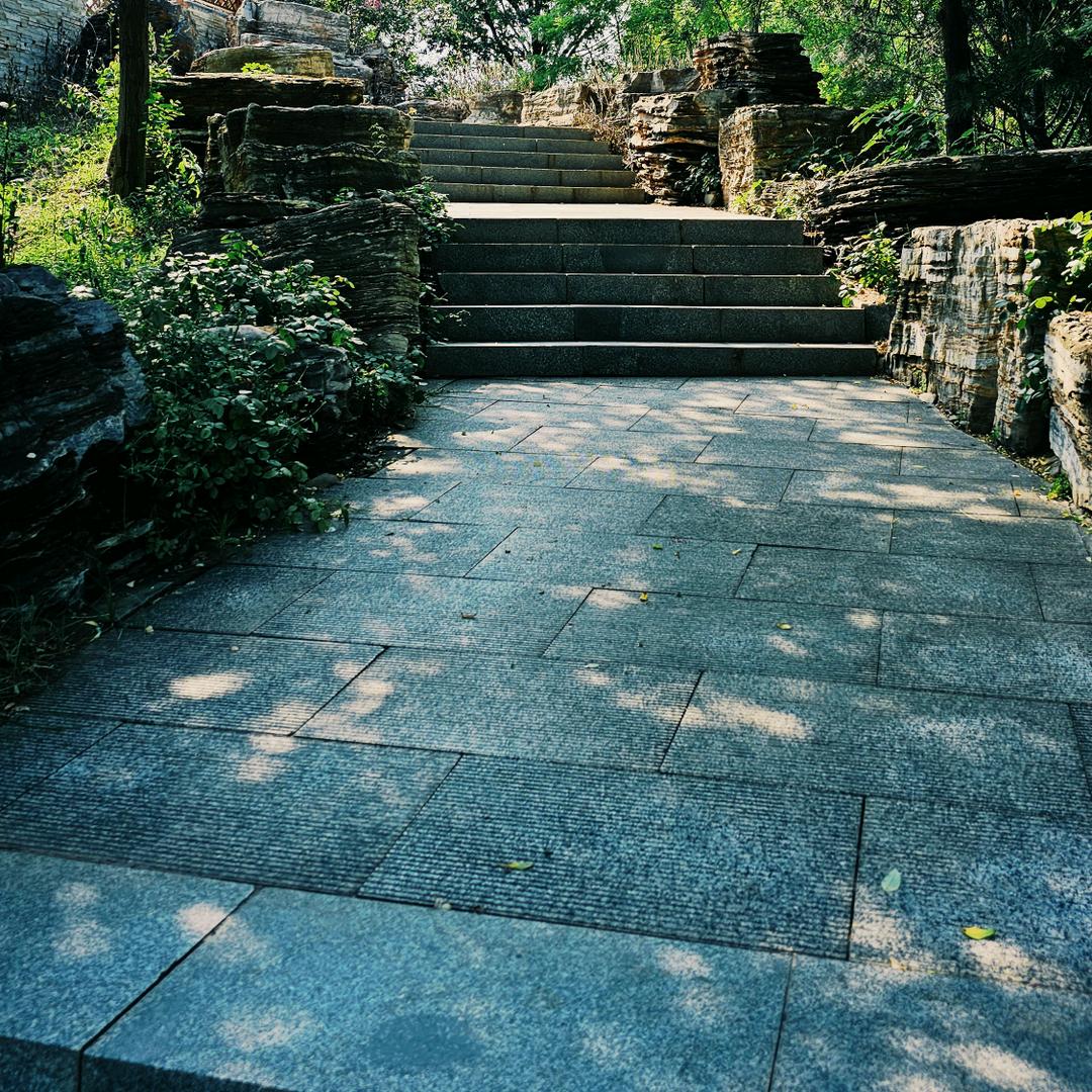 恰同学中年