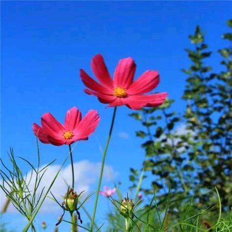 幸福快乐永相伴