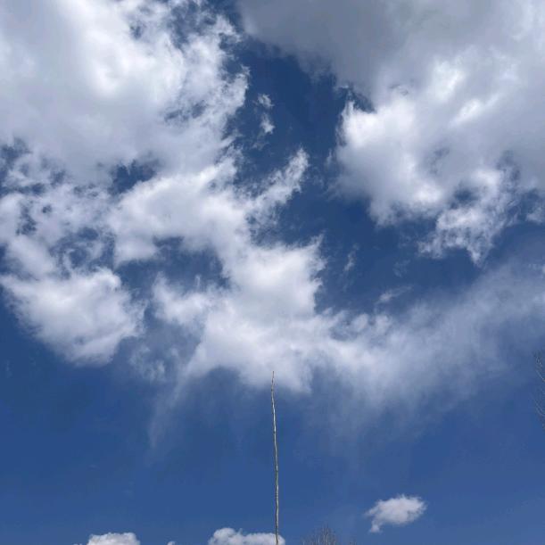 Š꧔ꦿ࿐ ོ我心ʚ ྀིɞ归零꧁❦ ❦꧂