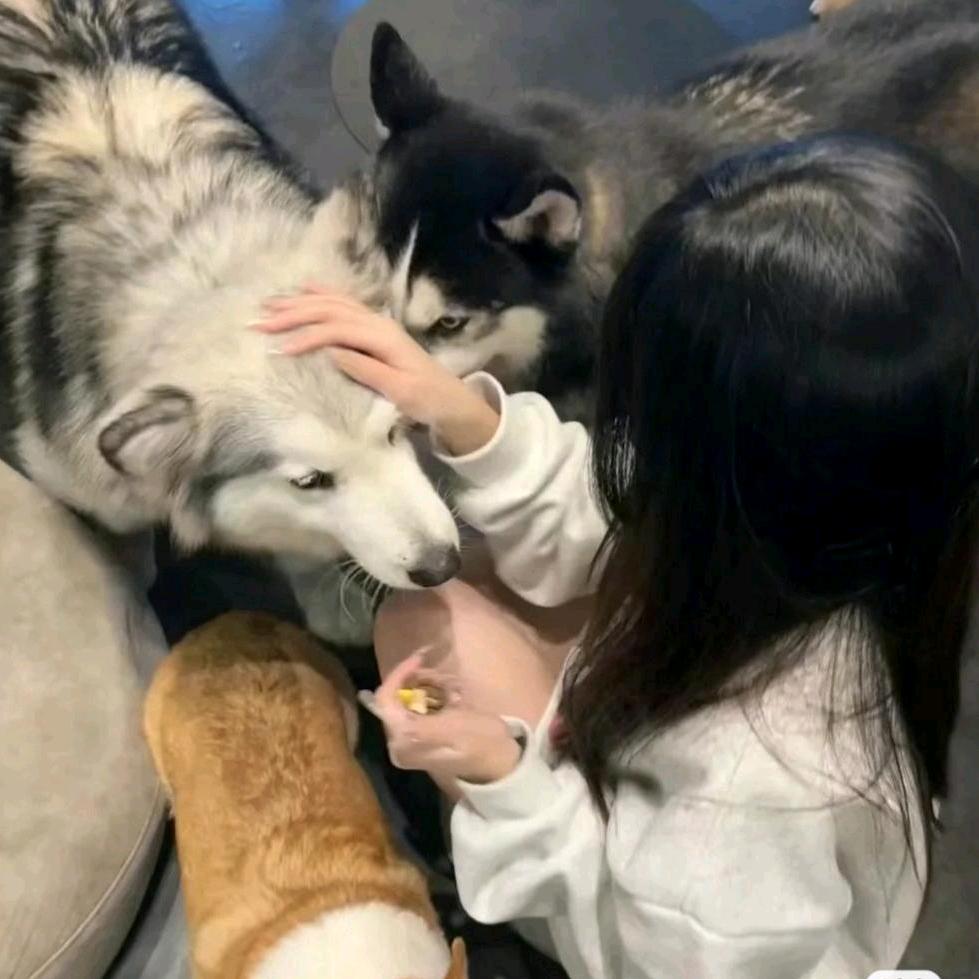 毛躁毛毛