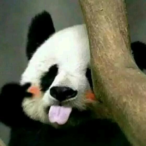 三丫