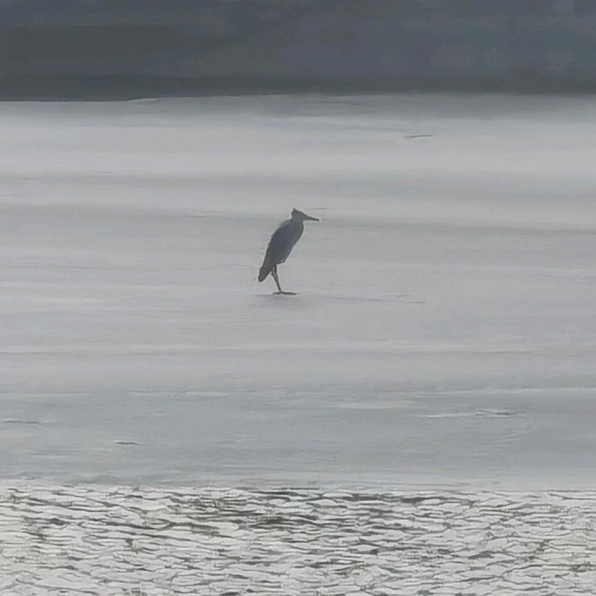🔥今天你运动了吗🌵⁶