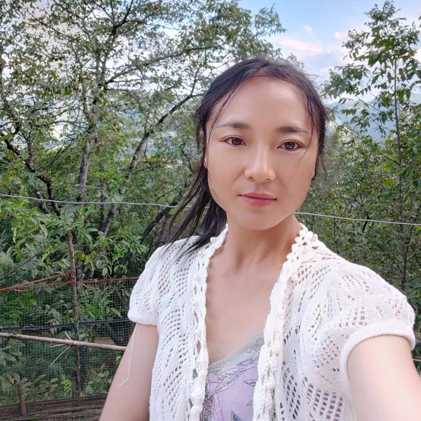 🌸向阳而生🌻
