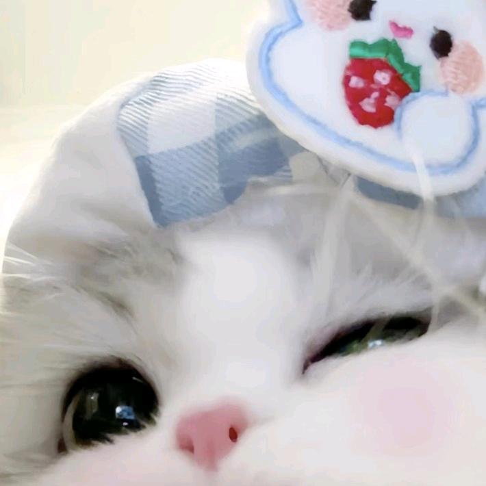宇。