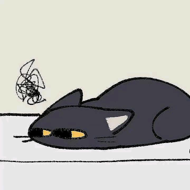烦恼猫