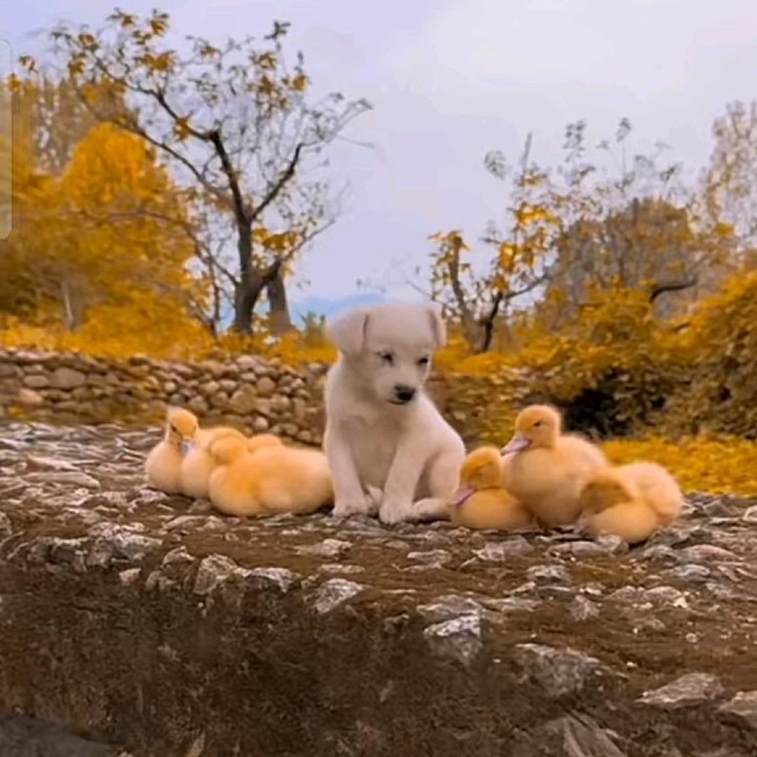 瘦得不明显ya