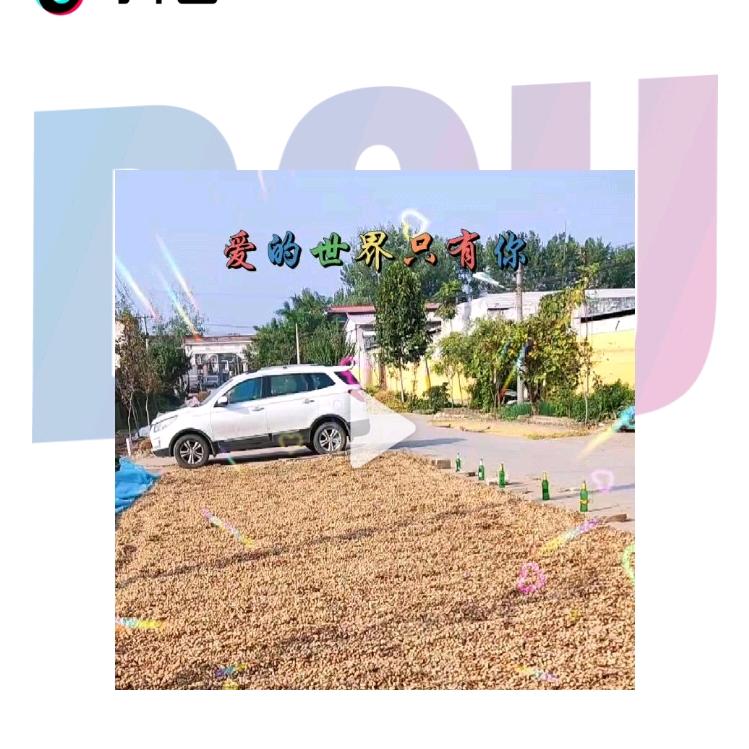 隧便转转，木兰府968