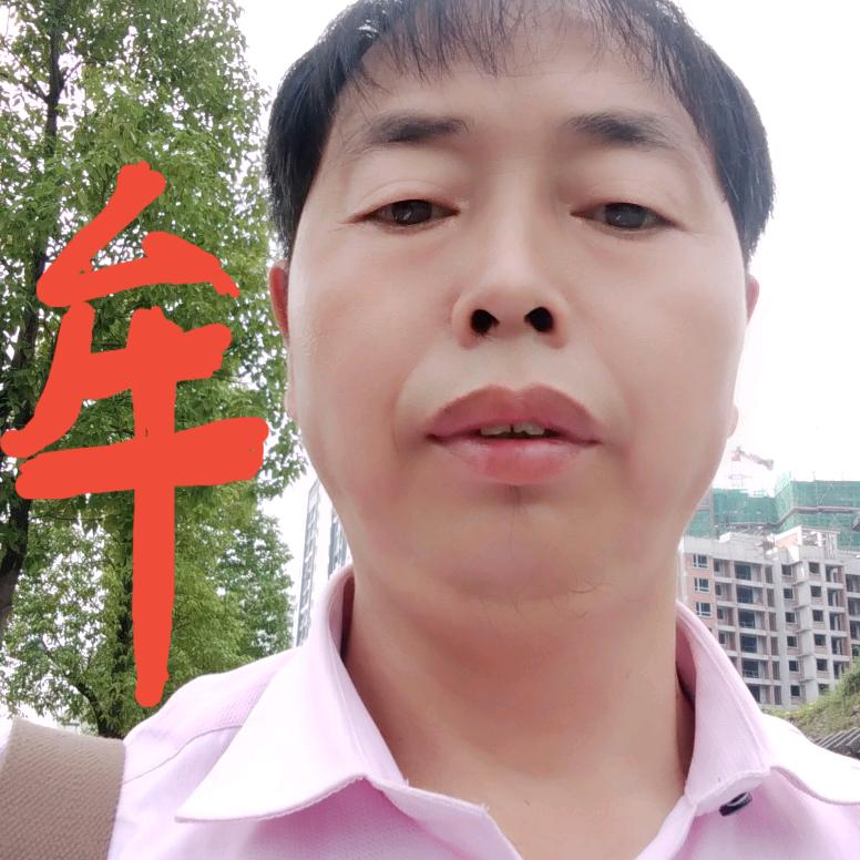 洛龙三哥乐队