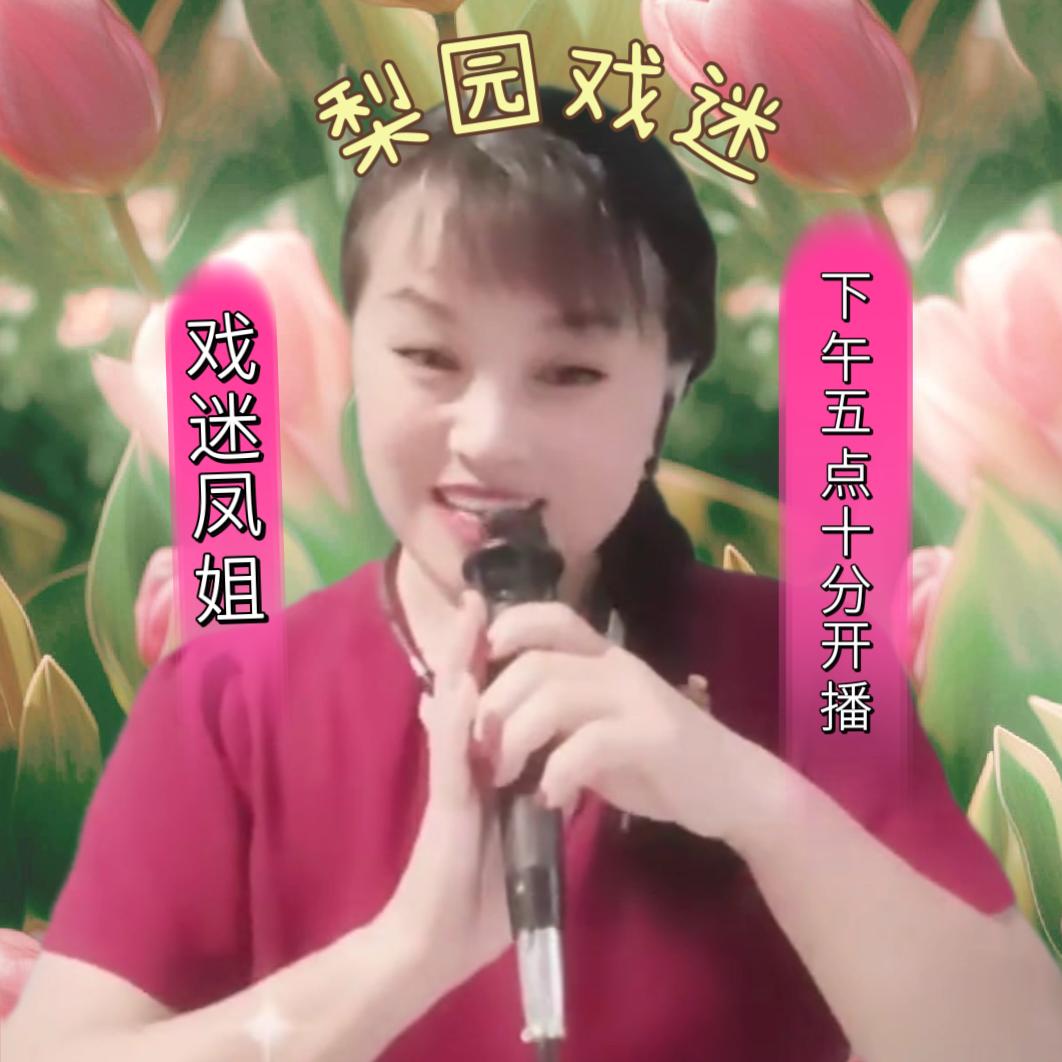 戏迷凤姐(下午五点十分开播)