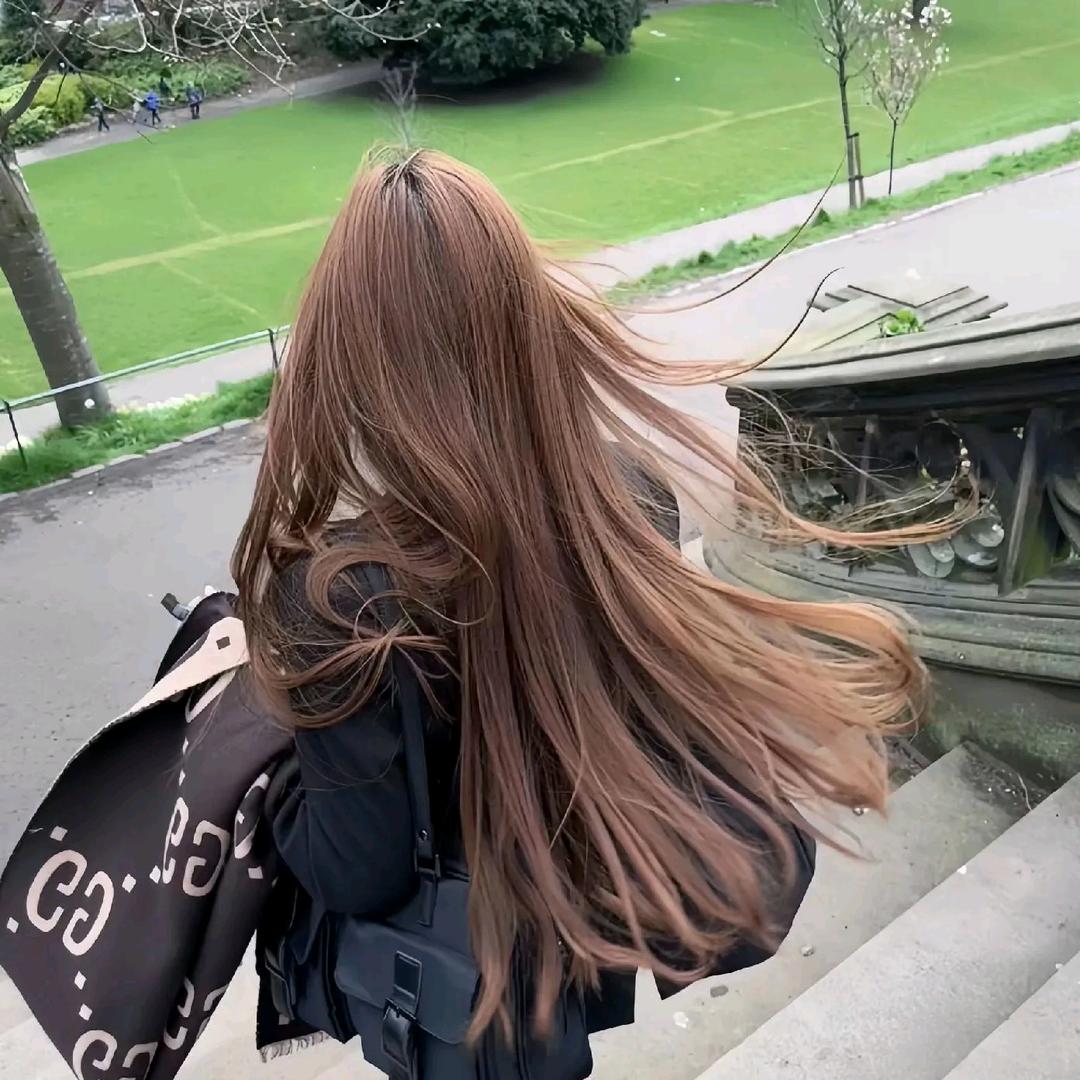 晚秋娇阳