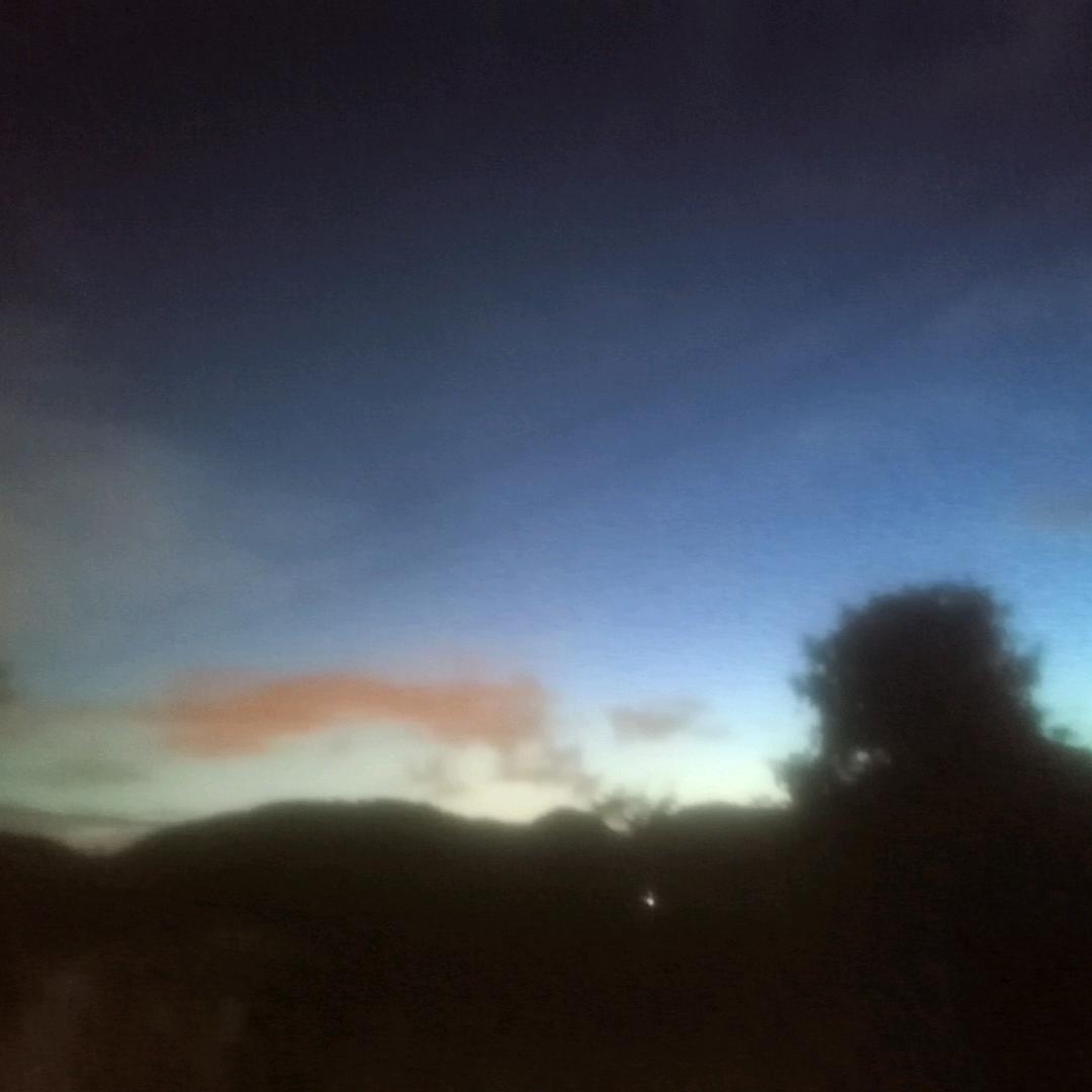 满山的猴子，我锭不红