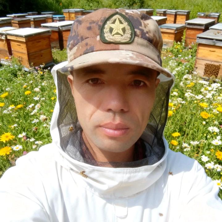福建永安养蜂阿管