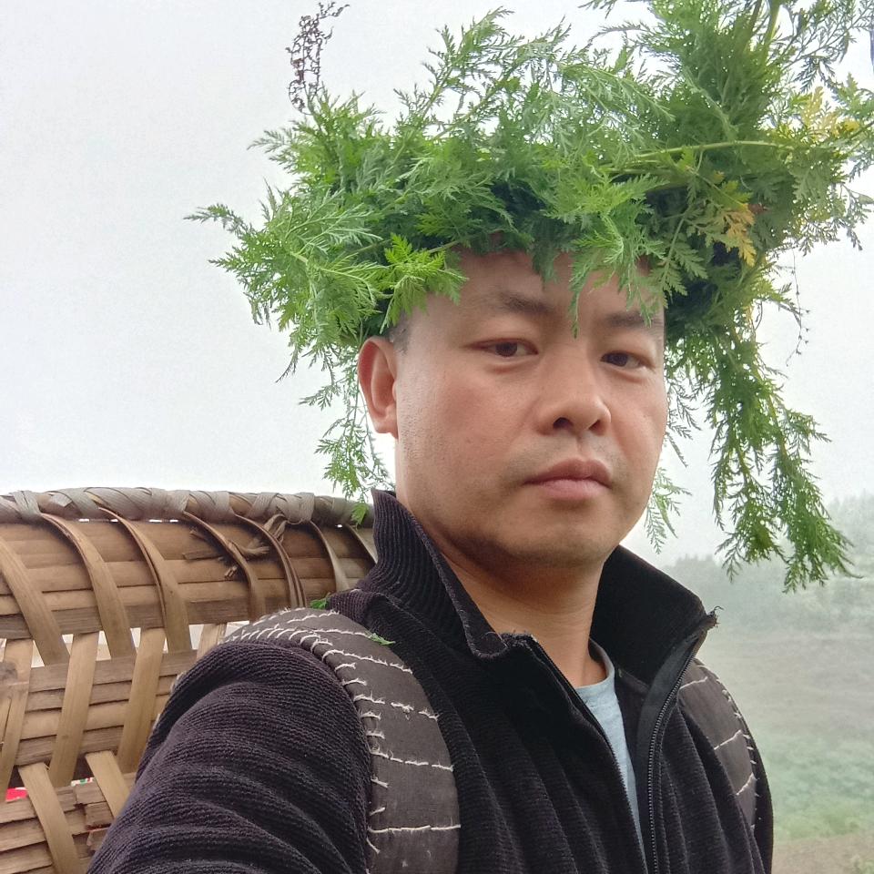 飞哥生态农场（收徒，养鸡，魔芋）