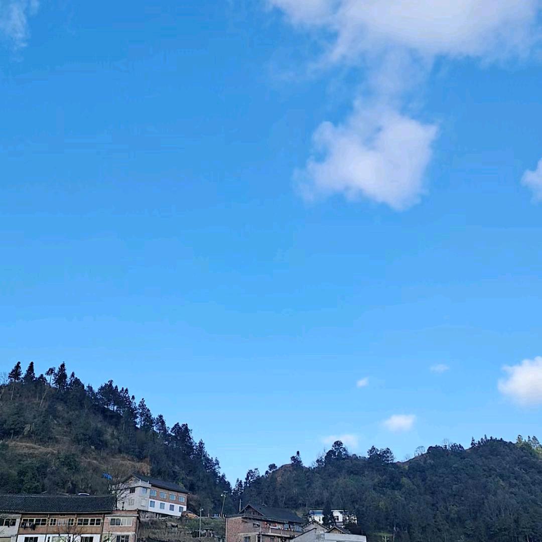 mej(=^･ｪ･^=)🍒