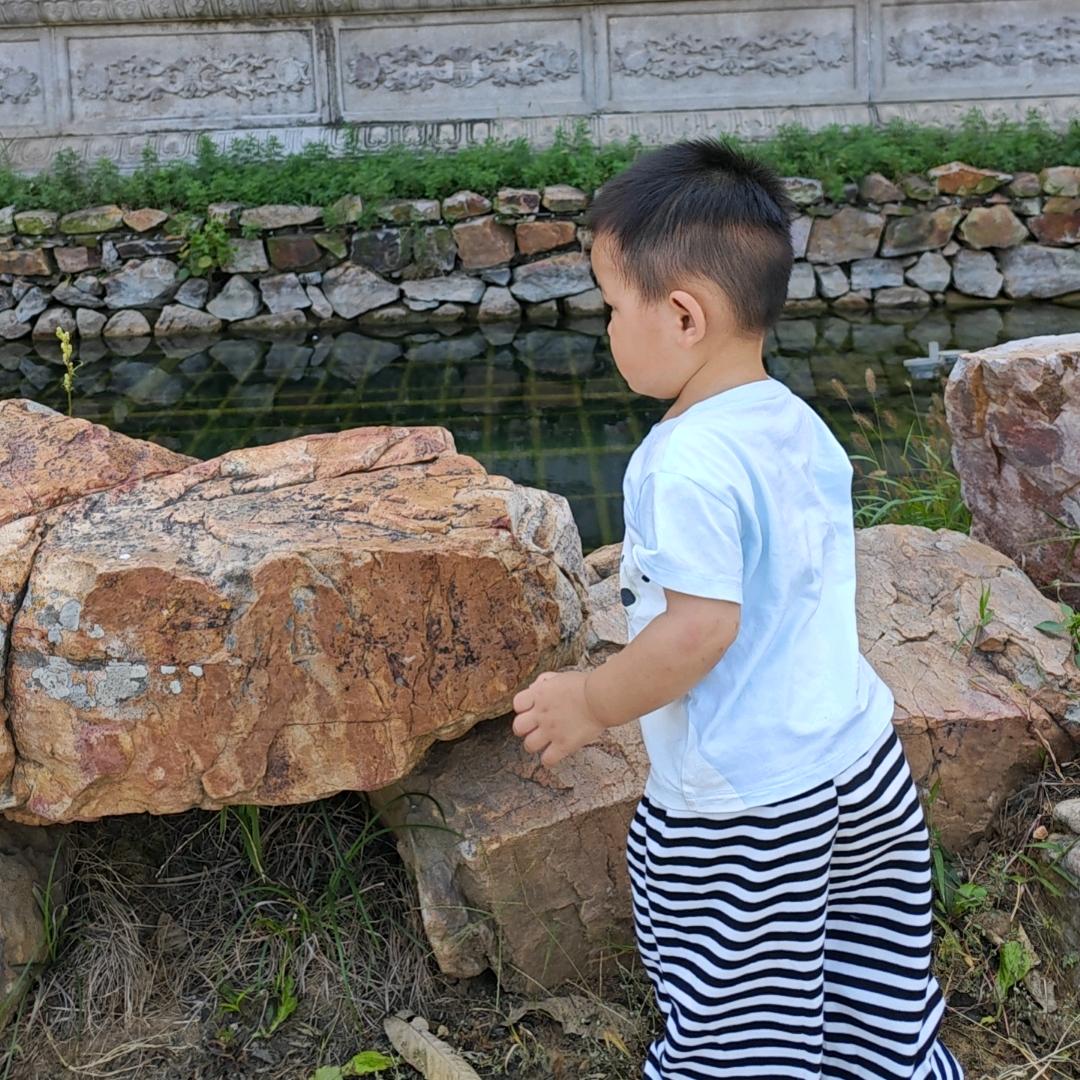 凌宝老师