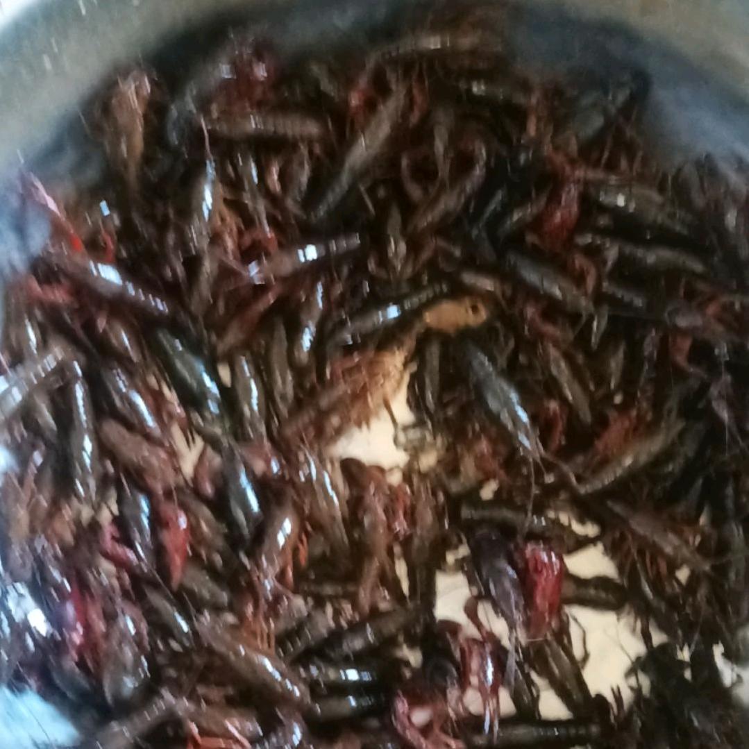 天下好人