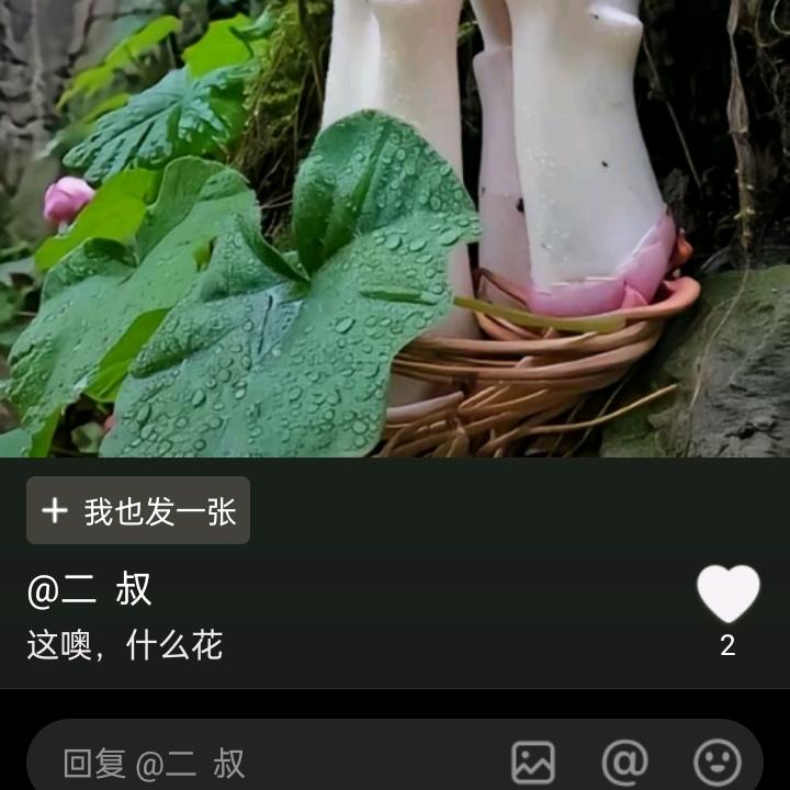 永远爱你