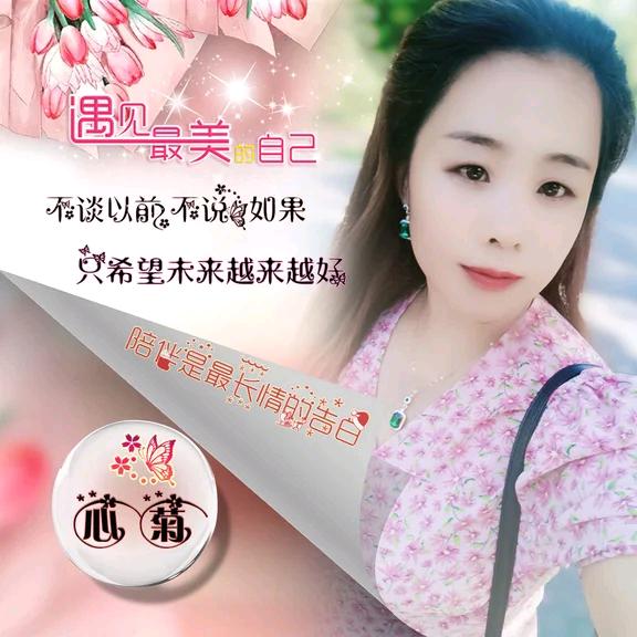 心菊