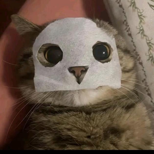 小灰灰（拼豆版）