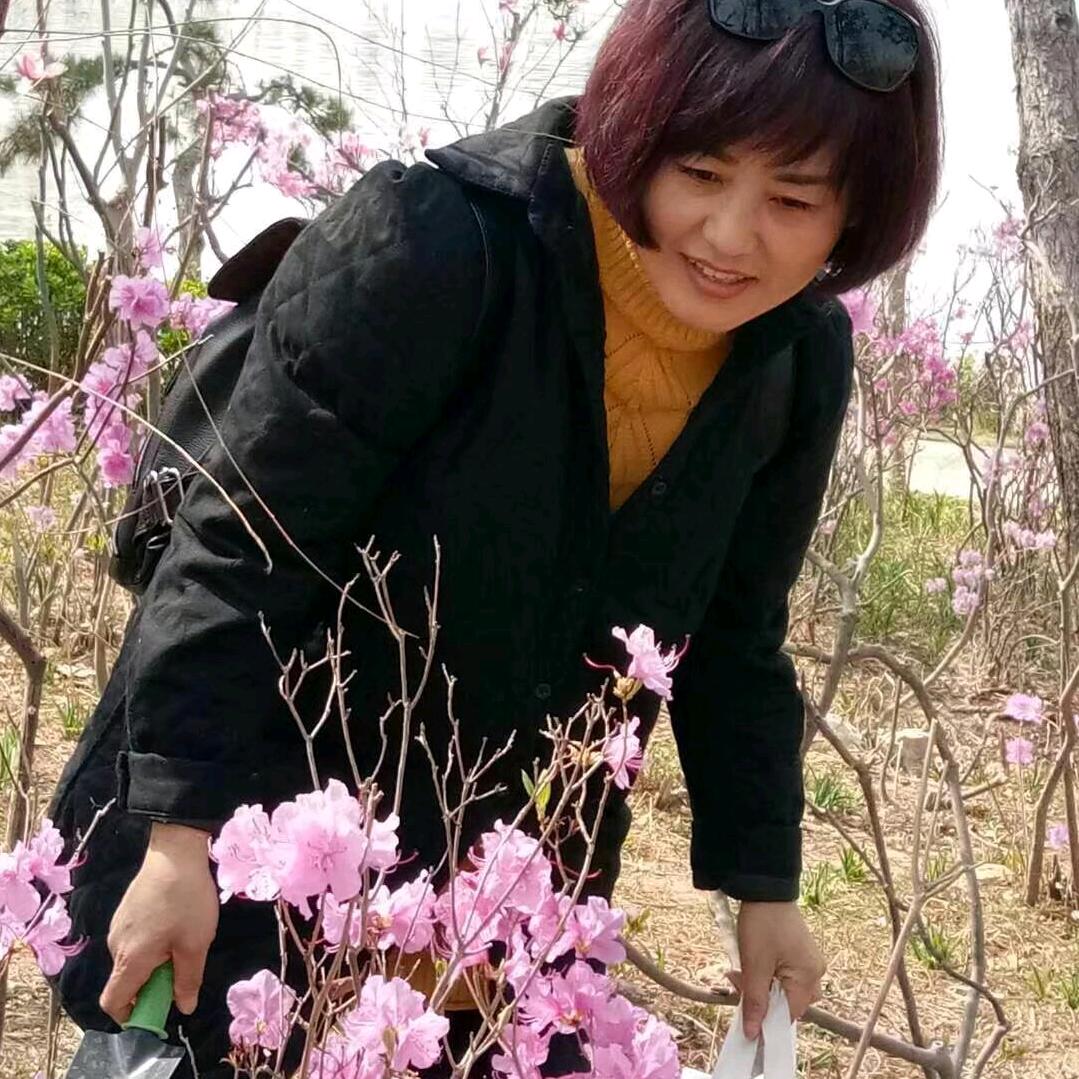 幸福玫瑰