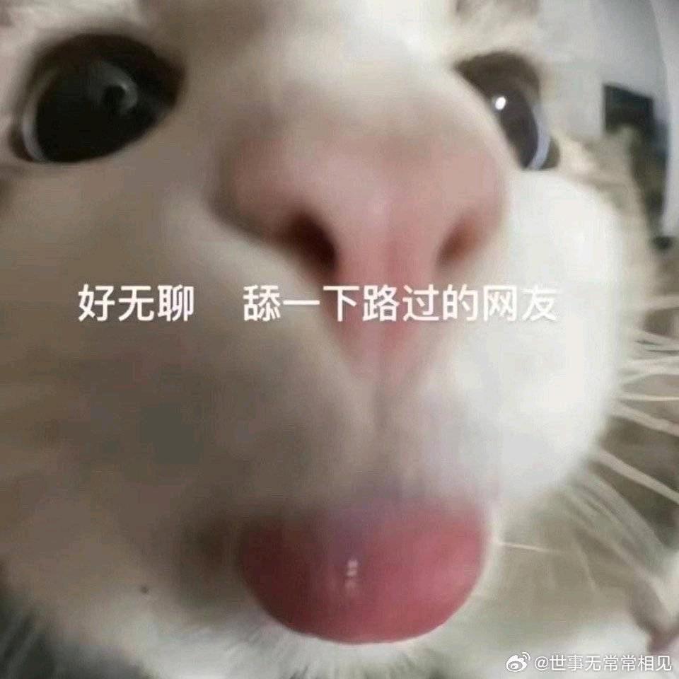 动力火锅