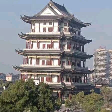 飞鱼哥