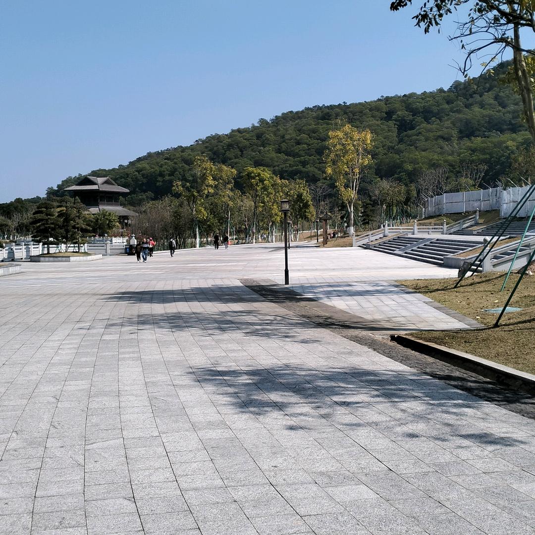 露营