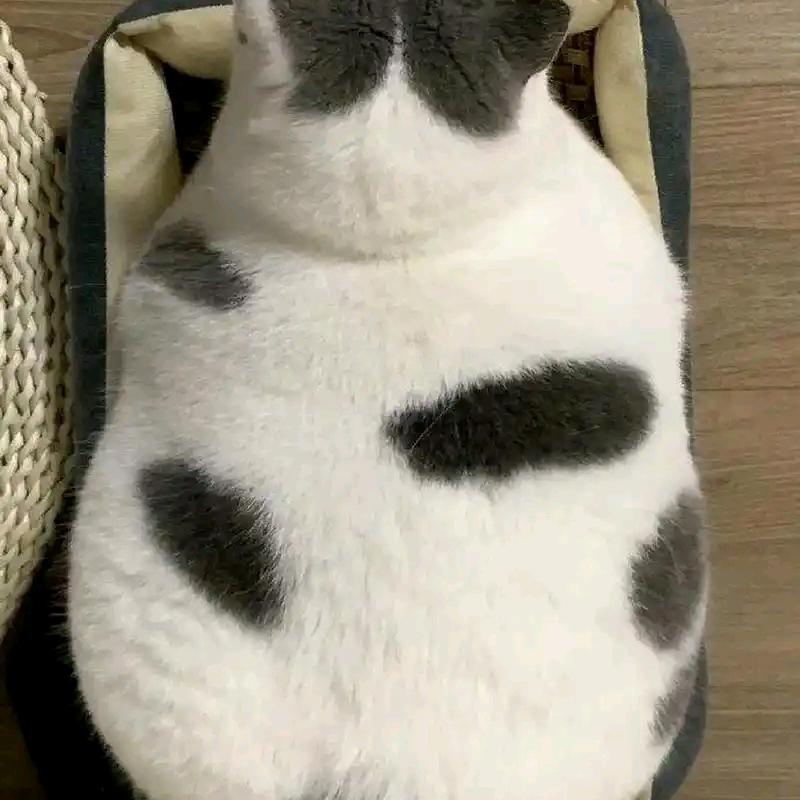 遇事不慌张先森