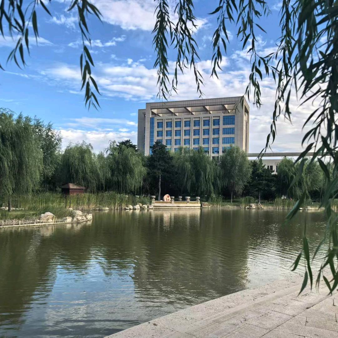新毕力格