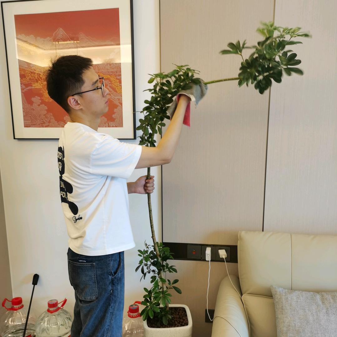 景洋