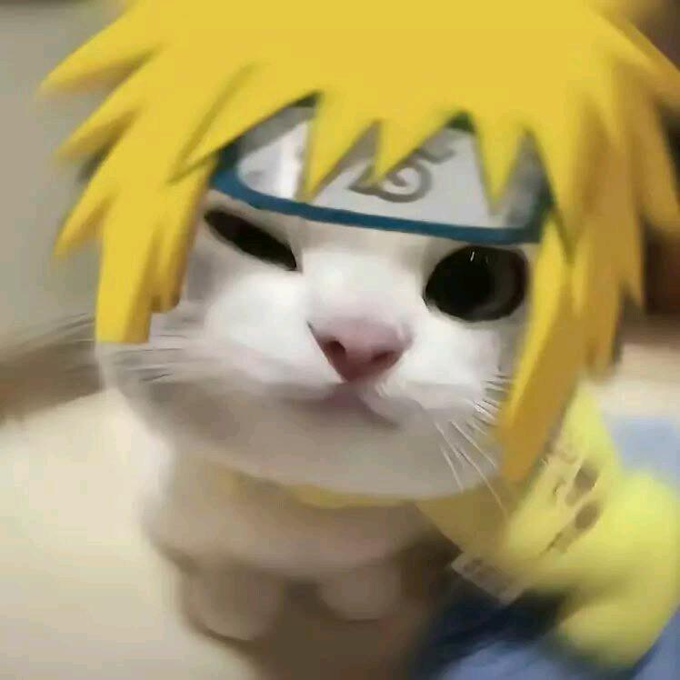 🤟
