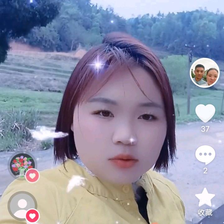 无爱一身轻
