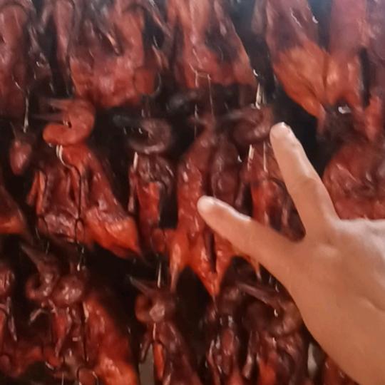 成都艳艳冒烤鸭批发